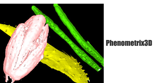 Phenometrix3D