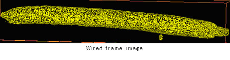 Wired frame image