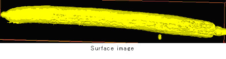 Surface image