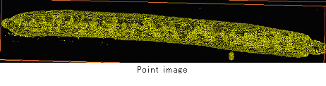 Point image