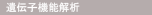 遺伝子機能解析