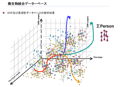 SNP及び表現型データベースの解析結果