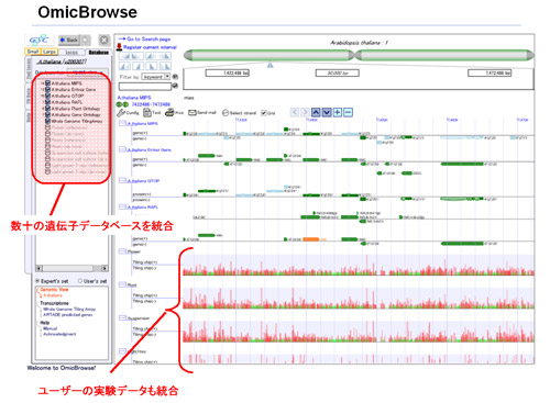 データ統合型ゲノムブラウザ（Omic　Browse）