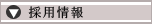 採用情報